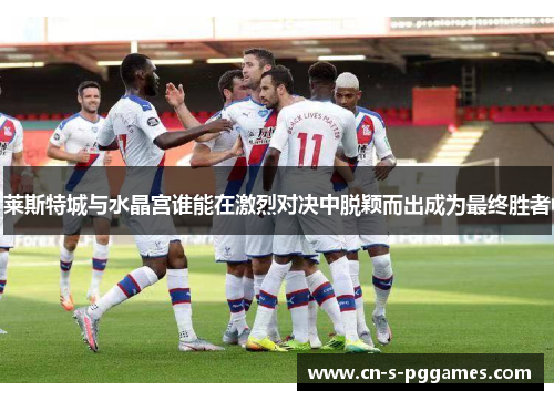 莱斯特城与水晶宫谁能在激烈对决中脱颖而出成为最终胜者 莱斯特城与水晶宫谁能在激烈对决中脱颖而出成为最终胜者