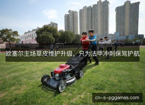欧塞尔主场草皮维护升级，只为法甲冲刺保驾护航